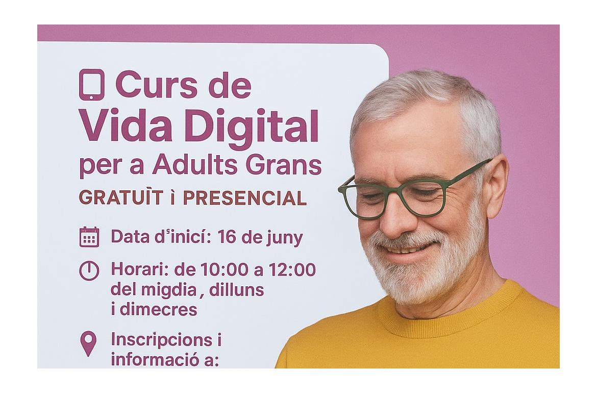 CURS VIDA DIGITAL