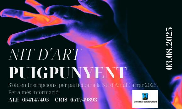 cartell nit de l'art