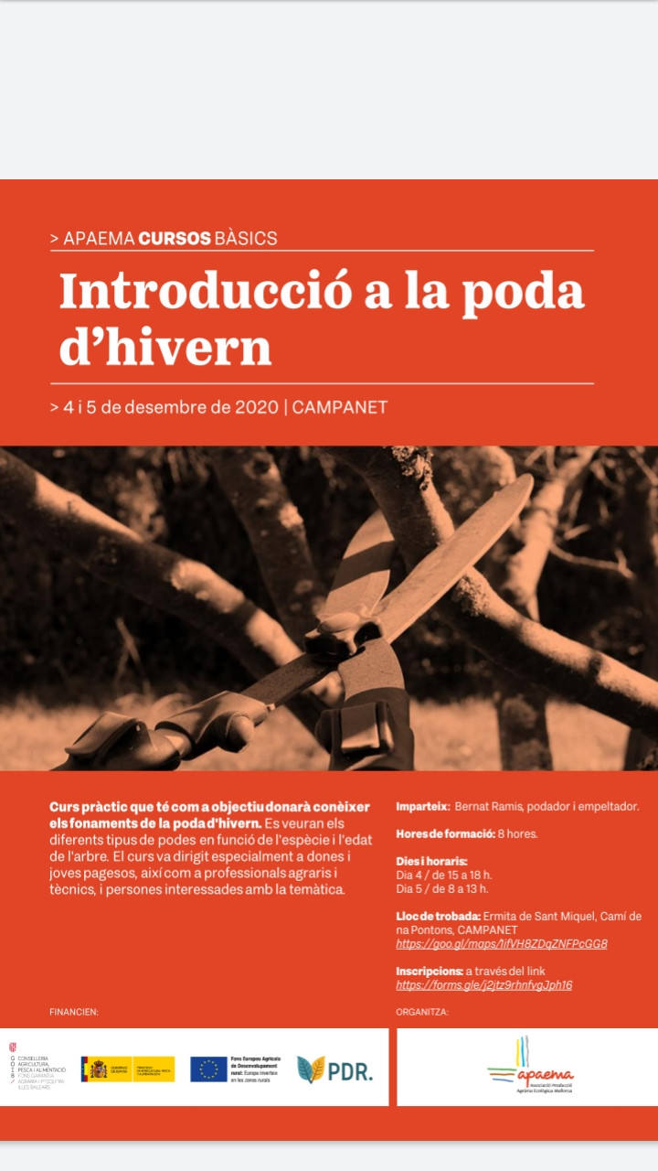 Introducció a la poda d'hivern