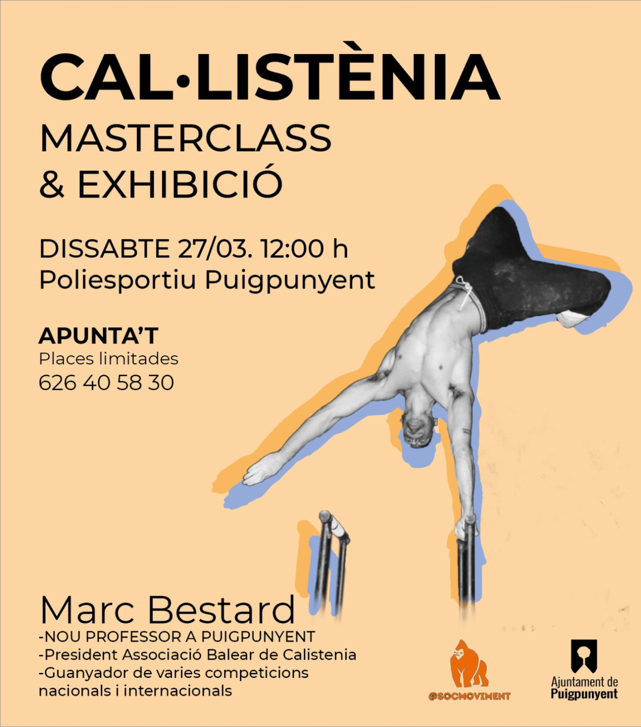 Cal·listènia a Puigpunyent