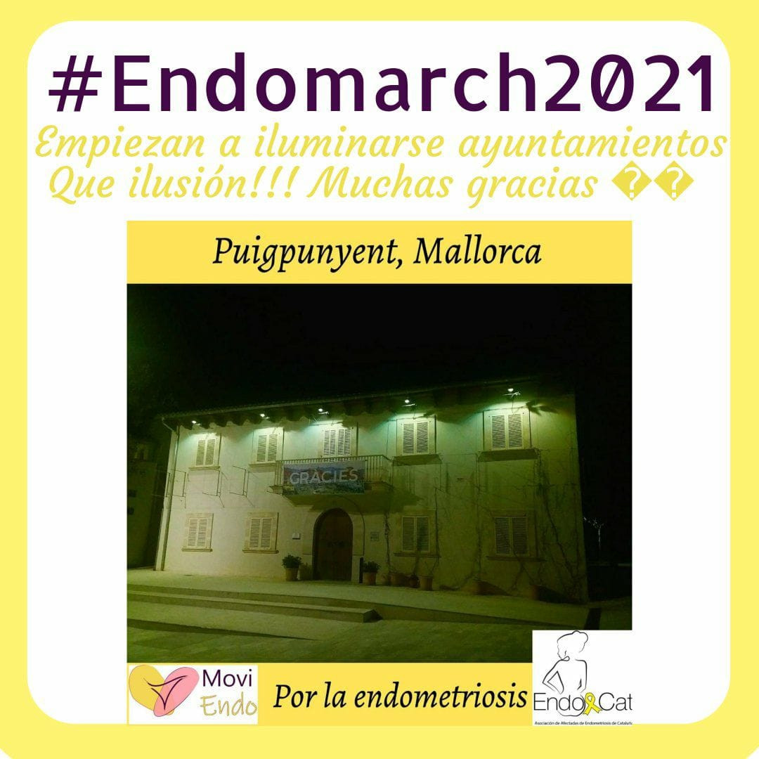 EndoCat