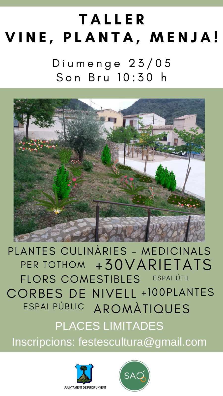 TALLER VINE, PLANTA I MENJA