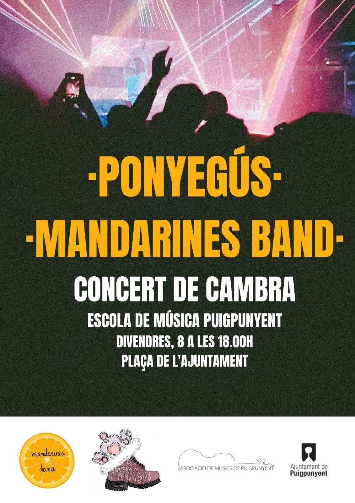 Concert de Cambra