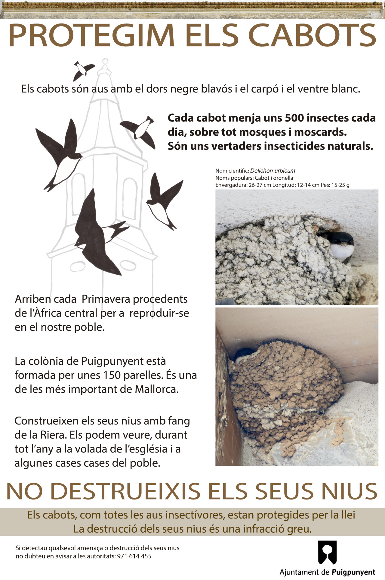 CARTELL PROTEGIM ELS CABOTS