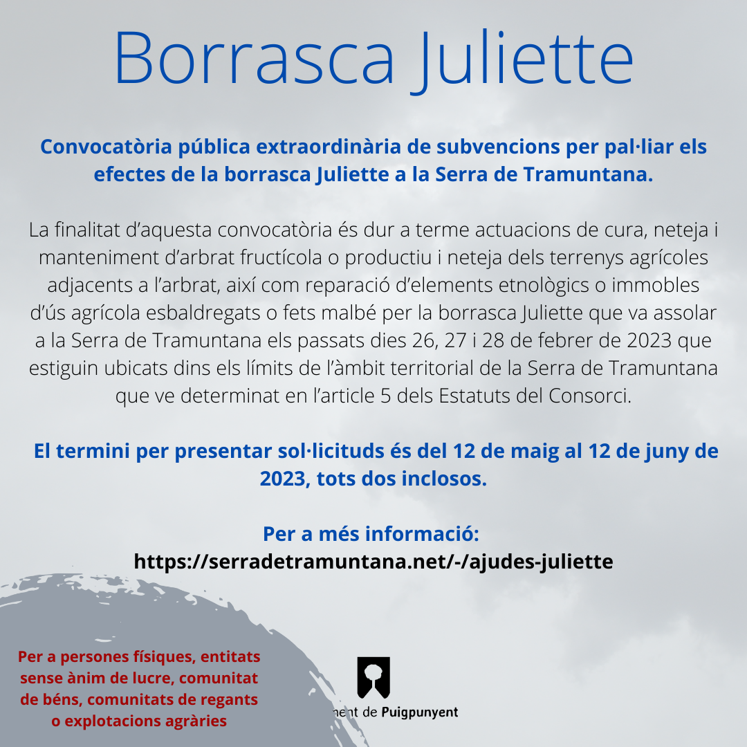 SUBVENCIONS BORRASCA JULIETTE