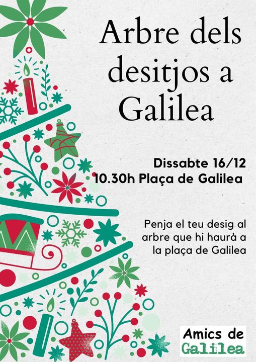 Arbre dels desitjos a Galilea