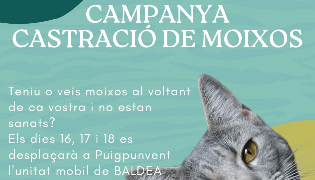 CAMPANYA CASTRACIÓ DE MOIXOS