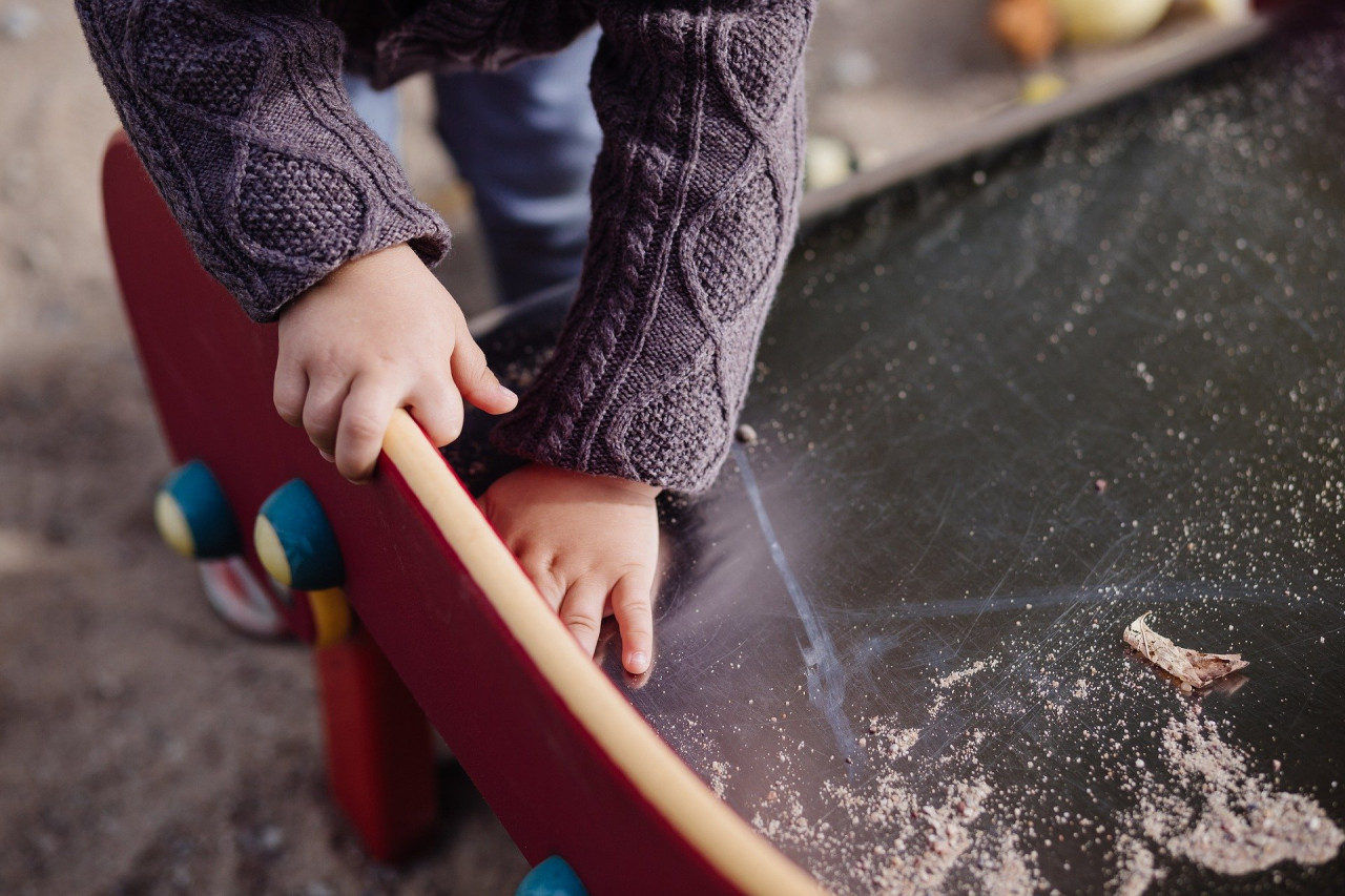 TÈCNIC/A SUPERIOR EN EDUCACIÓ INFANTIL