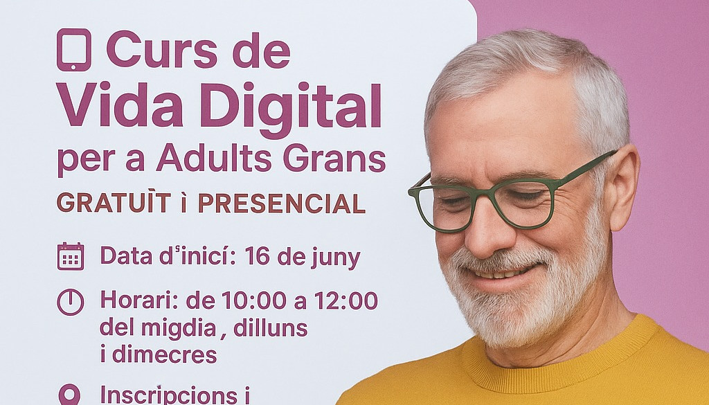 CURS VIDA DIGITAL