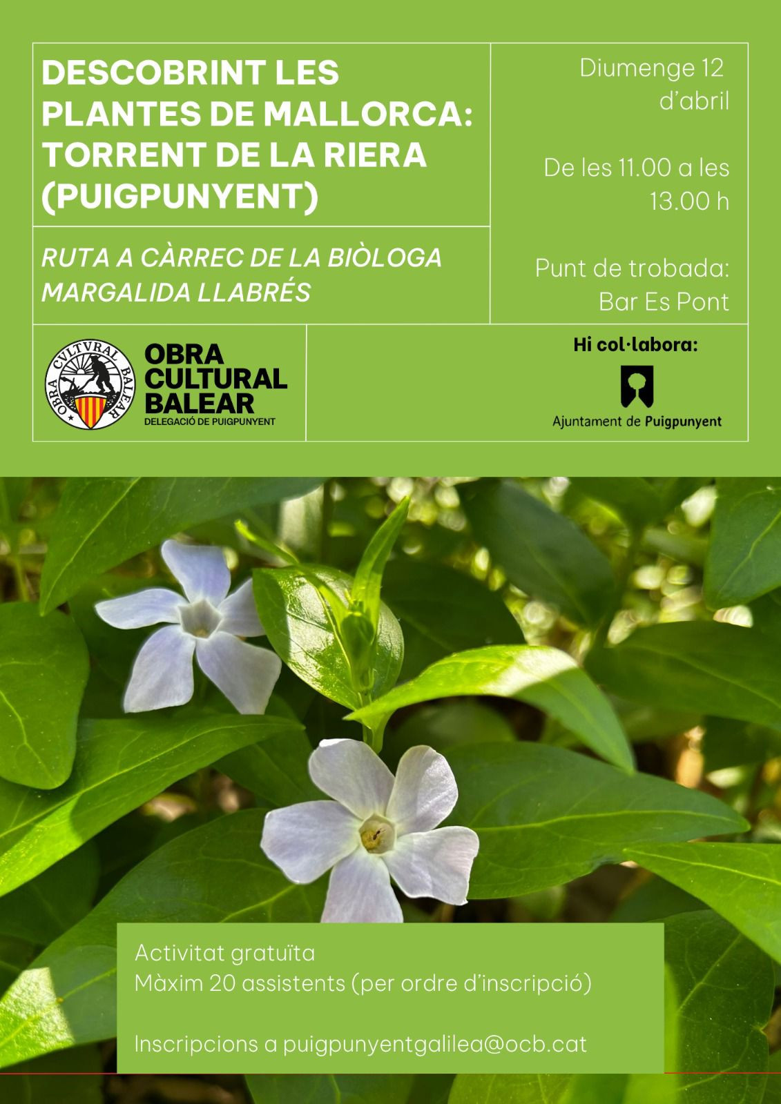 DESCOBRINT LES PLANTES DE MALLORCA: TORRENT DE LA RIERA 