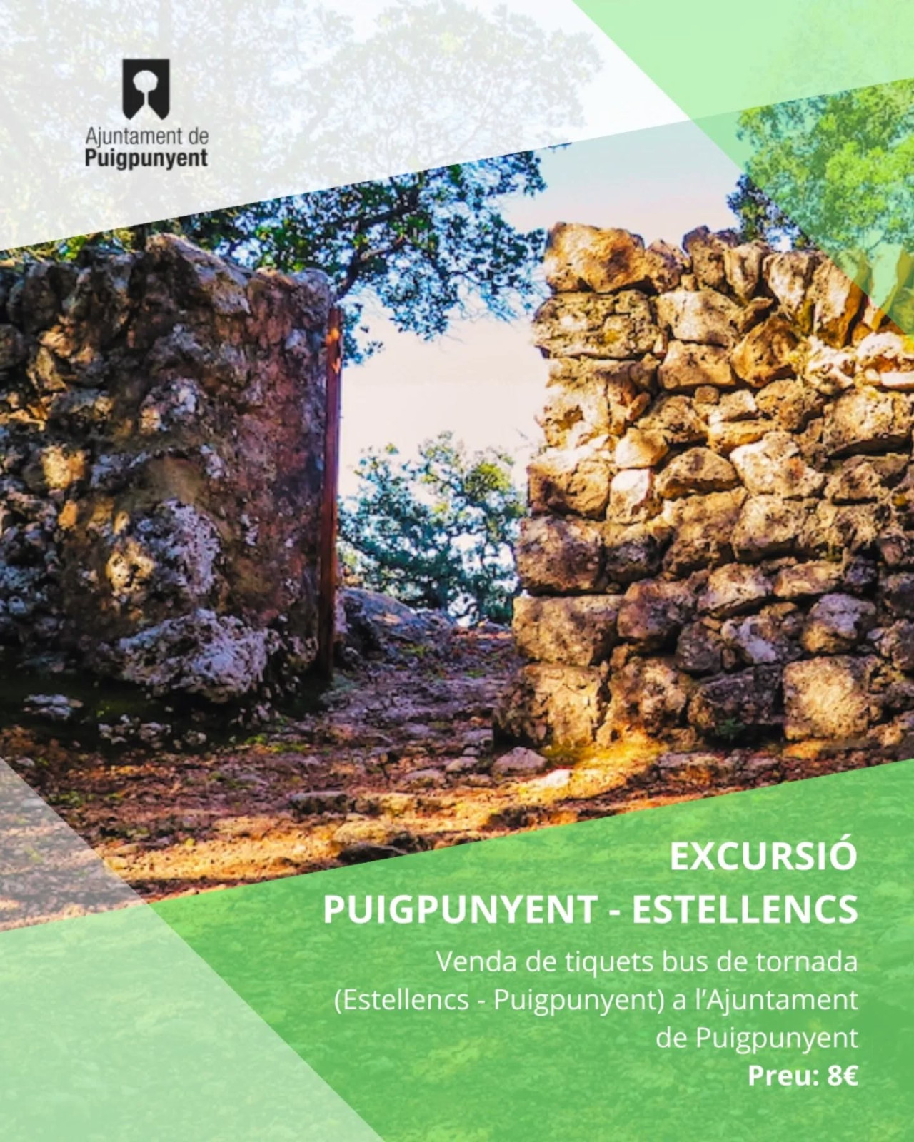 Excursió Puigpunyent-Estellencs 