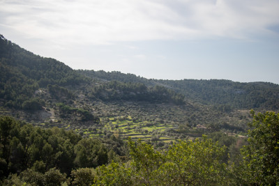 Galilea