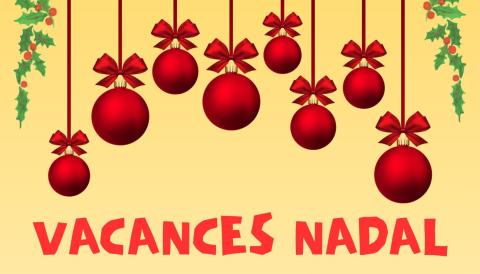 VACANCES NADAL BIBLIOTECA